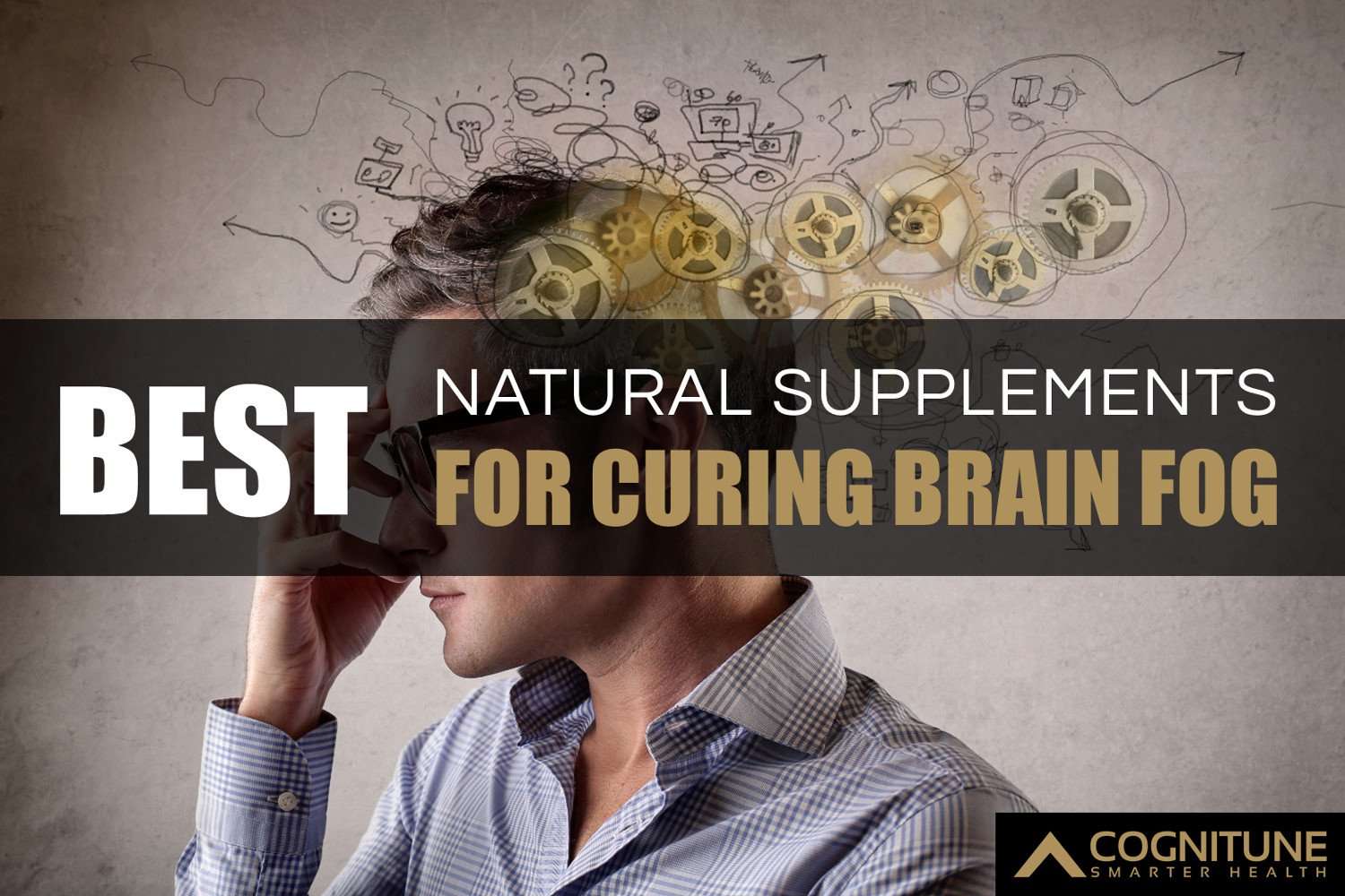 10 Best Natural Supplements for Curing Brain Fog &  Mental ...