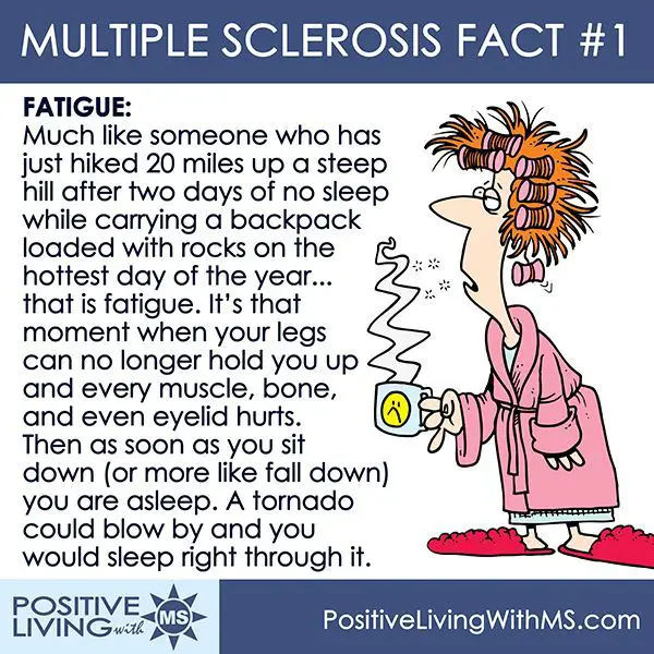 20 best An Illustrated View of Multiple Sclerosis images on Pinterest ...