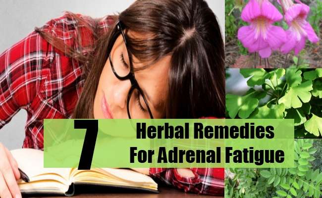 7 Adrenal Fatigue Herbal Remedies, Natural Treatments ...