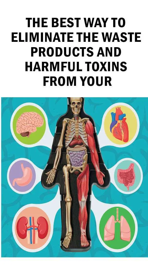 A high level of toxins in the body can cause chronic fatigue, extreme ...