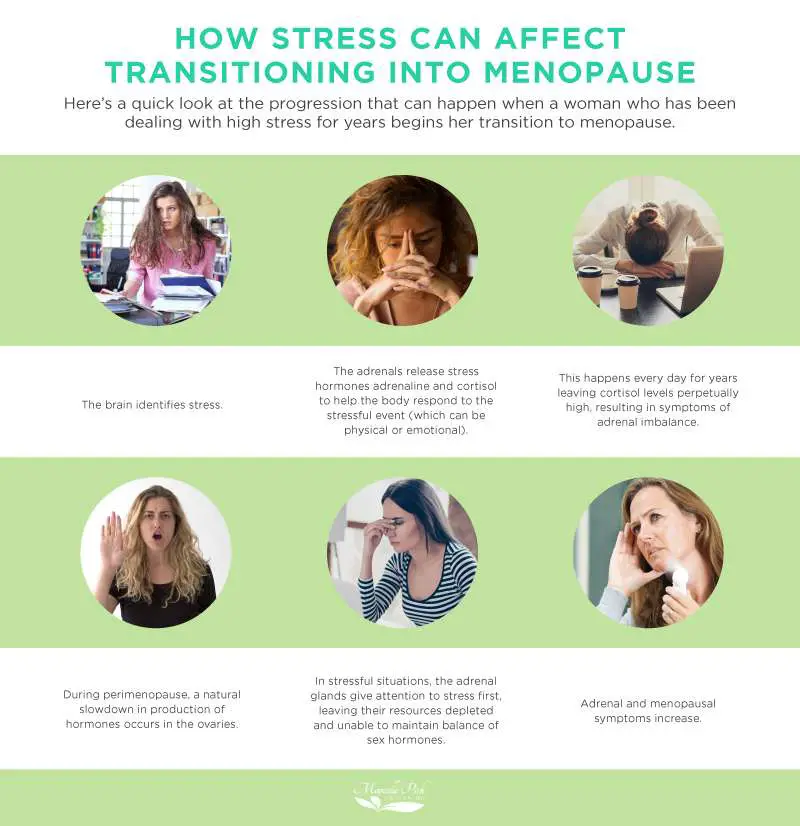 Adrenal Fatigue and Menopause: Do They Have Connected ...