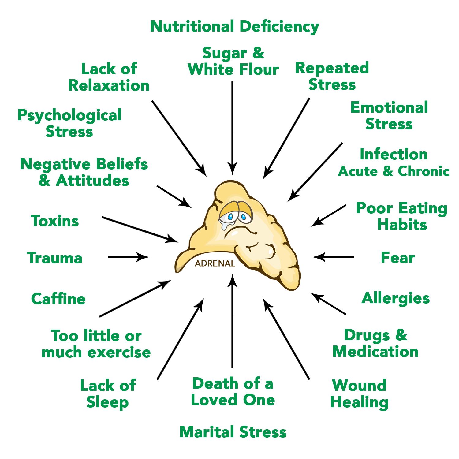 Adrenal Fatigue and Weight. Symptoms of adrenal fatigue and how they ...