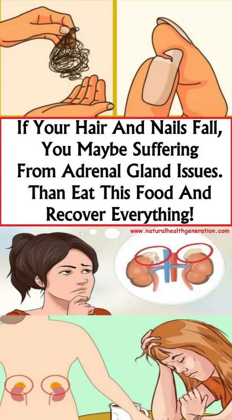 Adrenal fatigue leads to lower levels of a number of hormones that can ...