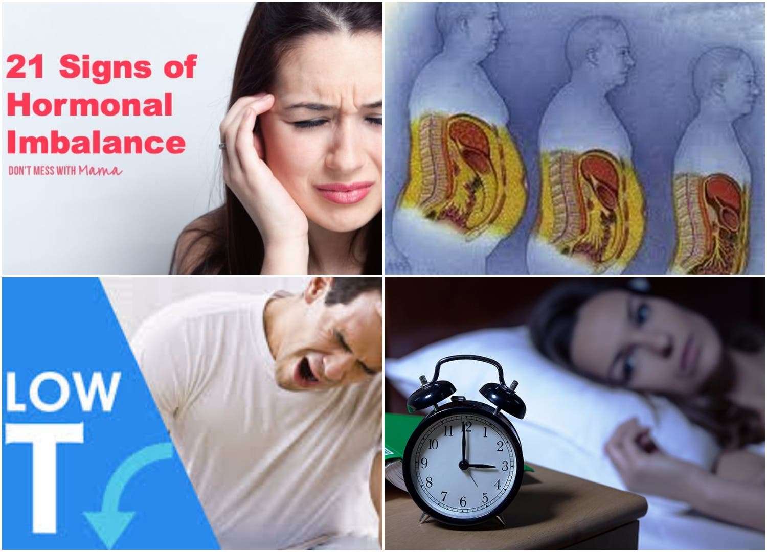alphanumericdesign: Adrenal Fatigue Depression And Anxiety