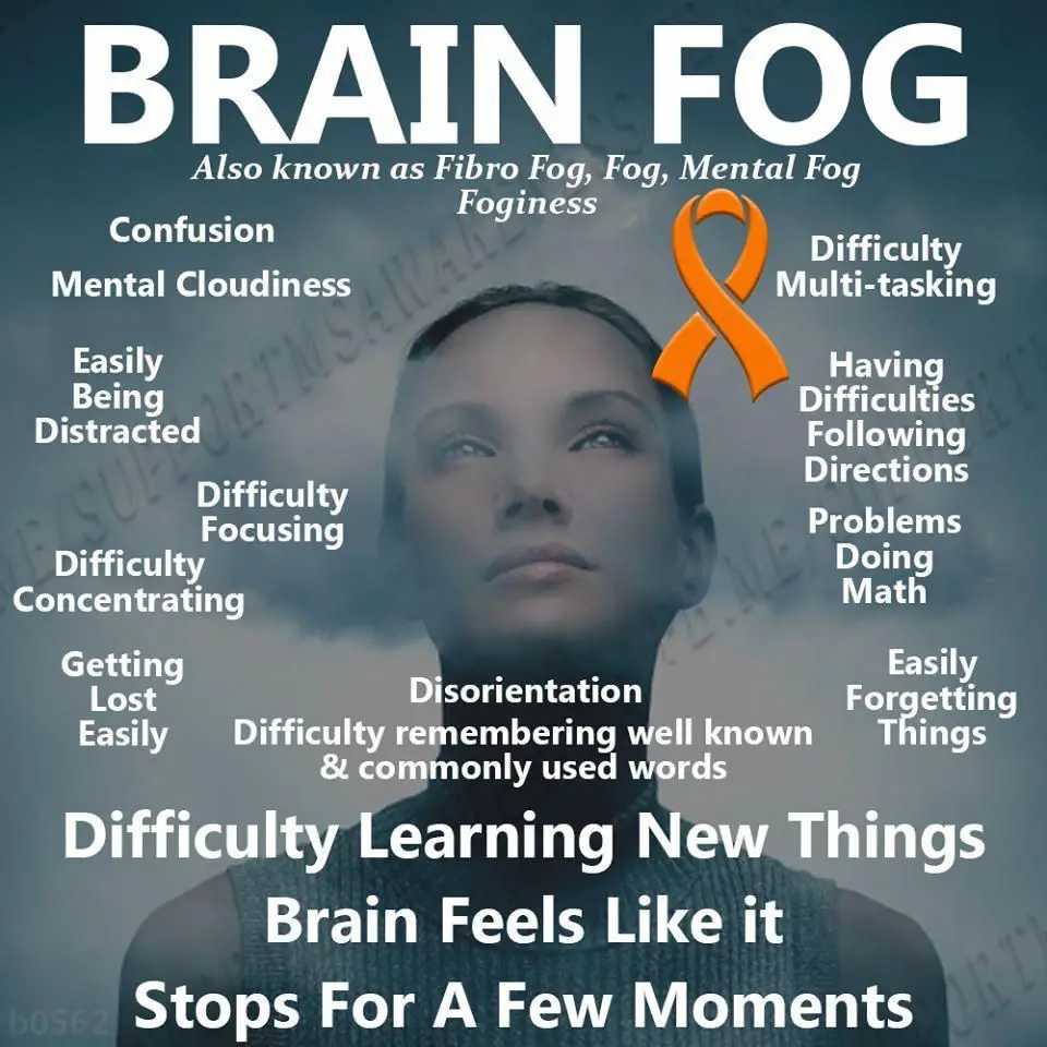 Brain fog is VERY REAL and can impact your day to day events ...