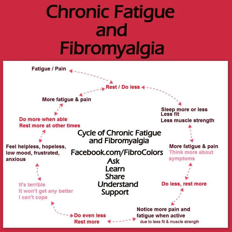 Chronic Fatigue and Fibro.