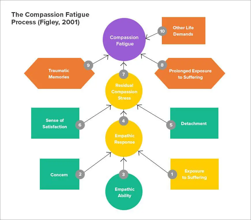 Compassion Fatigue &  Healthcare Professionals: An Online Guide