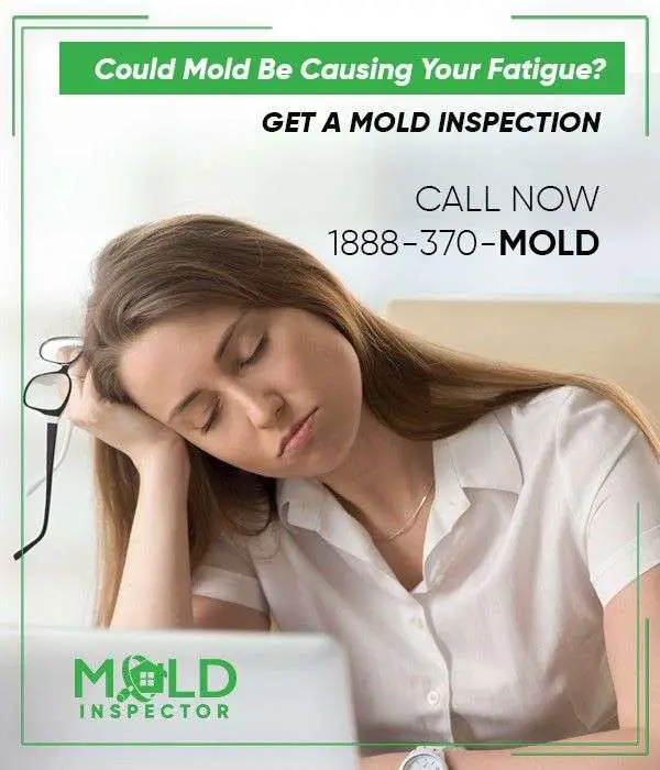 Could Mold Be Causing Your Fatigue? When a good nights ...