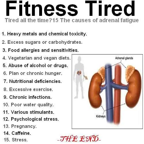 Fitness Tired â Tired all the time? 15 The Causes of ...