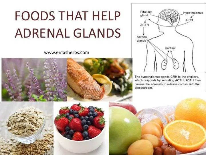 Foods that help Adrenal Glands....