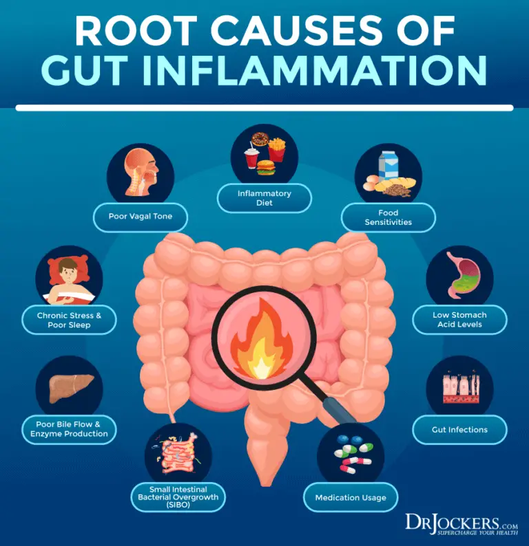 Gut Inflammation: Causes, Testing &  Support Strategies