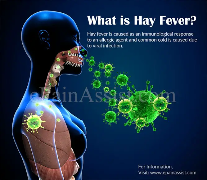 Hayfever &  Allergy