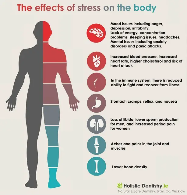 Health Effects of Chronic Stress May Differ for Men and Women