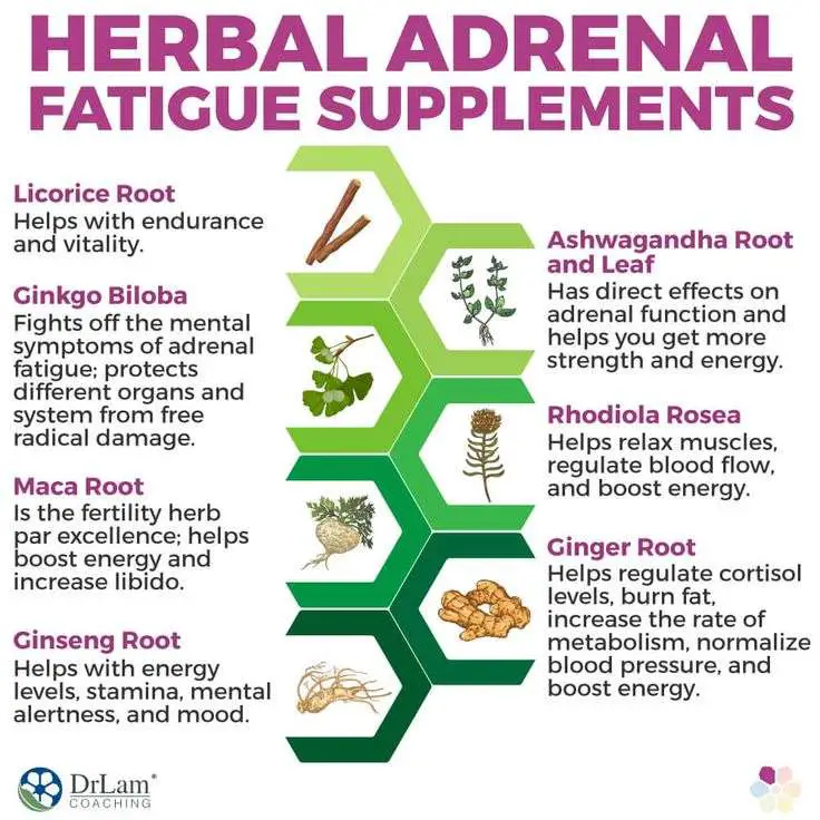Herbal Adrenal Fatigue Supplements in 2020