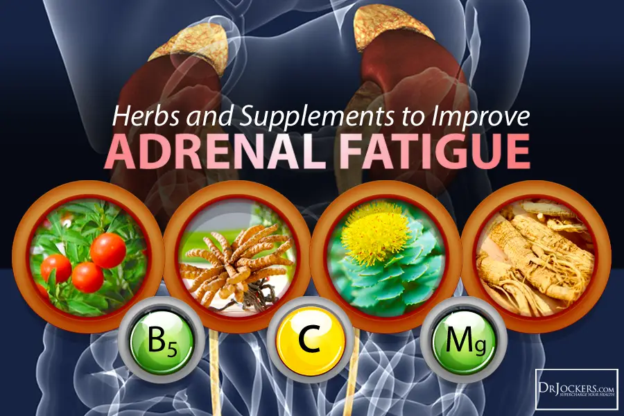 Herbs and Supplements to Improve Adrenal Fatigue