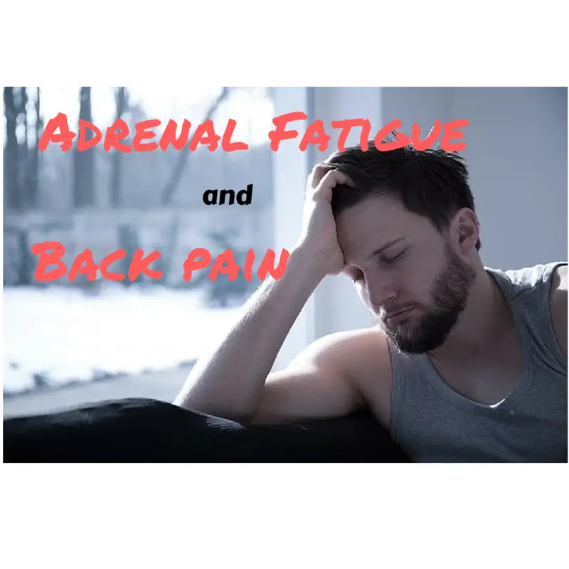 How Adrenal Fatigue is Causing You Back Pain