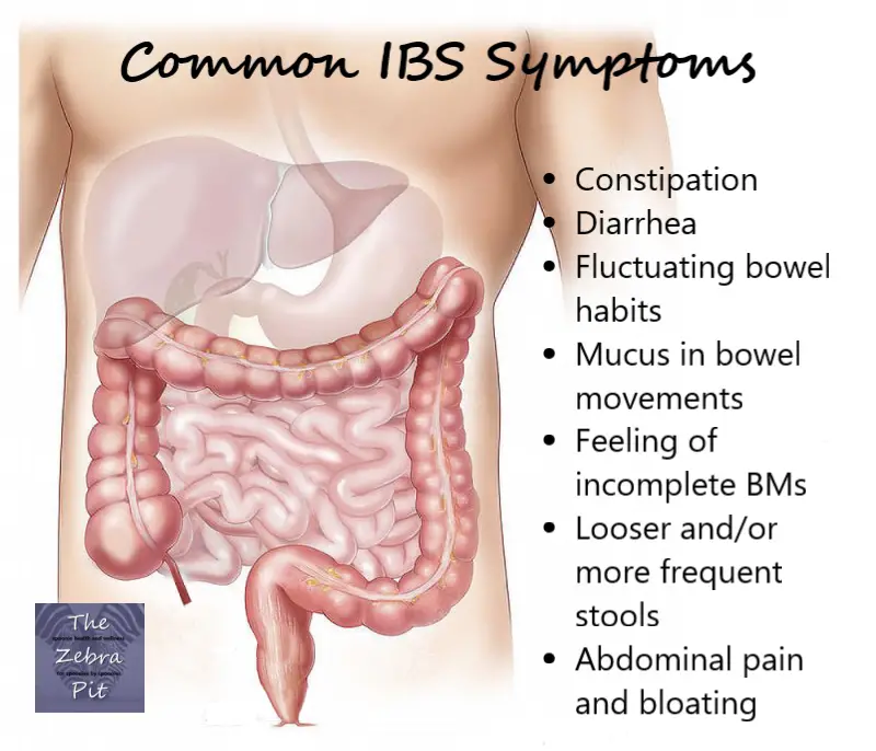 How To Treat Ibs Fatigue