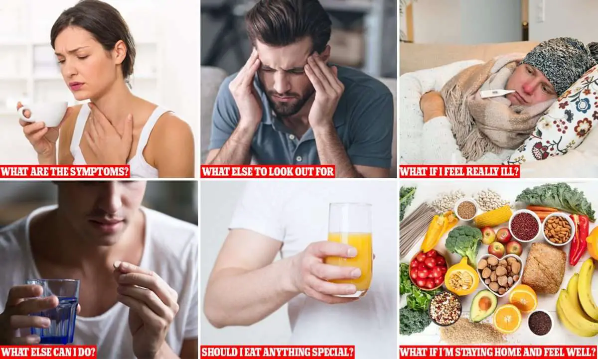 Loss Of Appetite Nausea Fatigue Headache Dizziness / Symptoms And ...