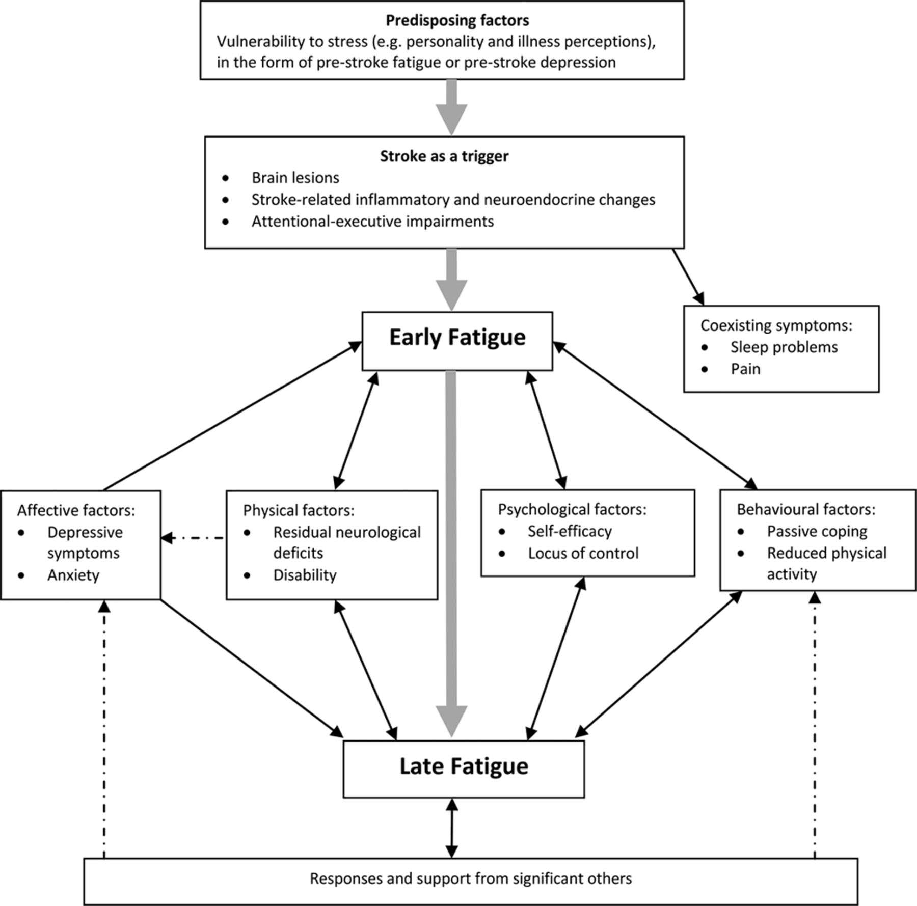 Model of Understanding Fatigue After Stroke