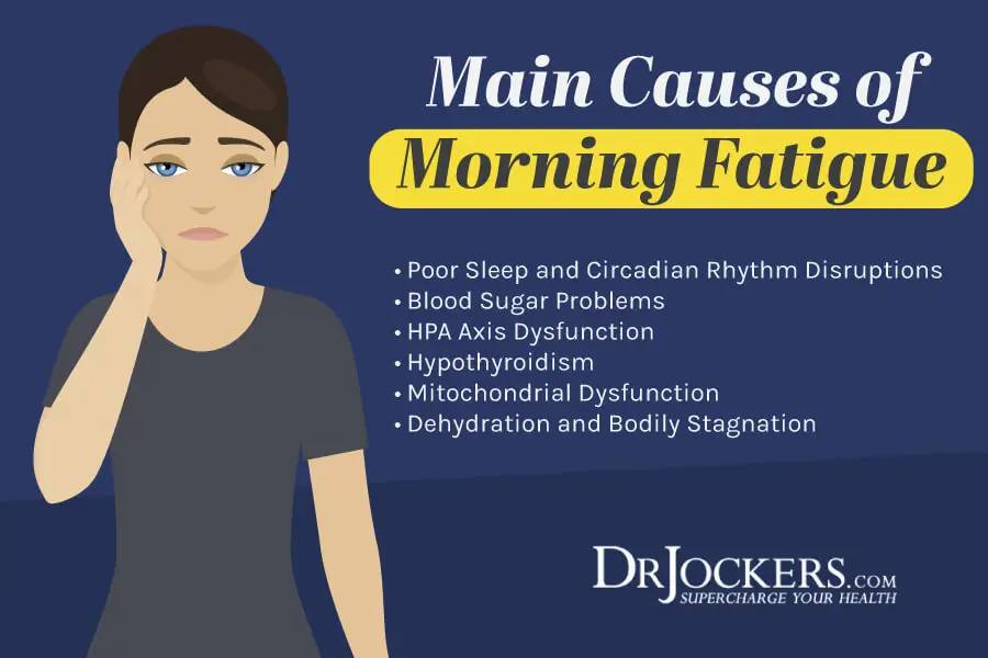 Morning Fatigue: Causes and 7 Steps to Enhance Energy