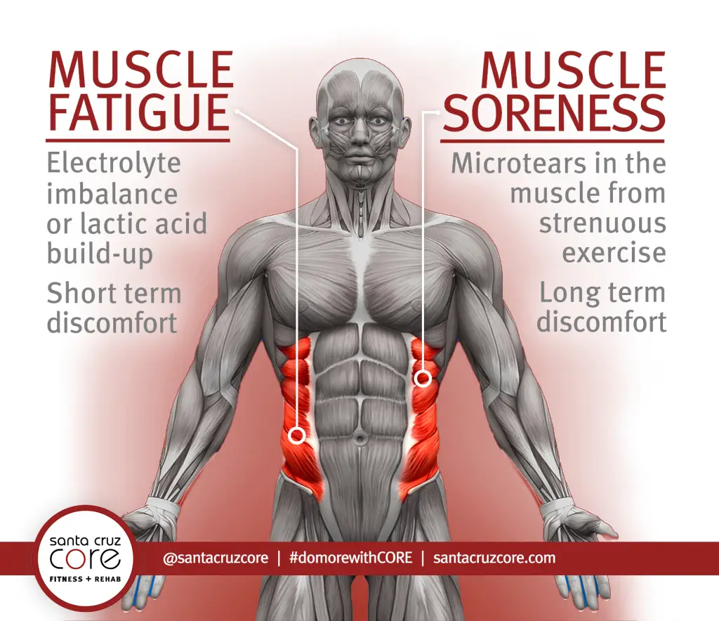 Muscle Fatigue In Legs After Workout