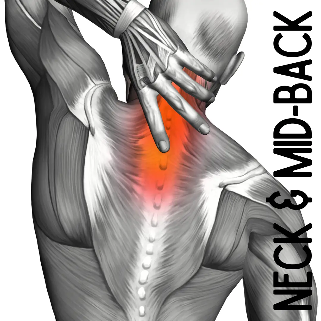 Neck and Mid Back Pain