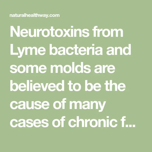 Neurotoxins from Lyme bacteria and some molds are believed to be the ...