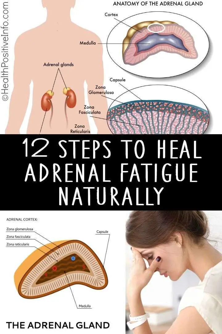 Pin by Fight Extreme Fatigue on Adrenal Support