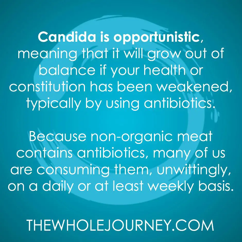 Pin on Candida Tips &  Recipes