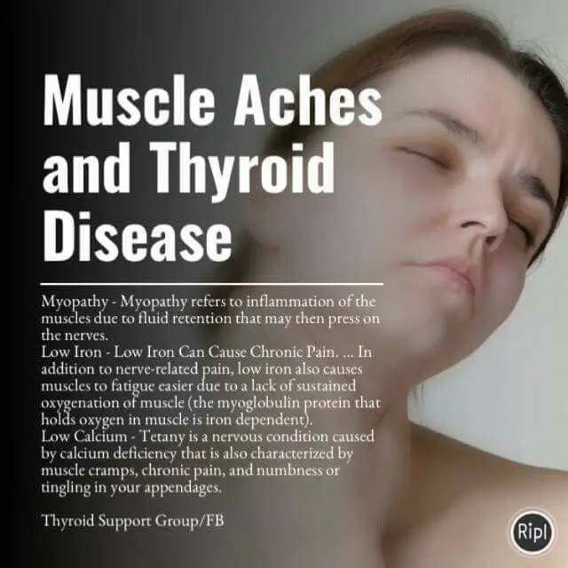 Pin on Treating thyroid naturally