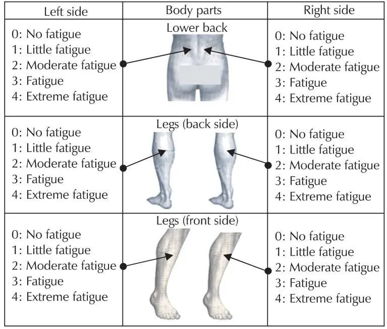 Questions on levels of fatigue in the lower back, posterior legs, and ...