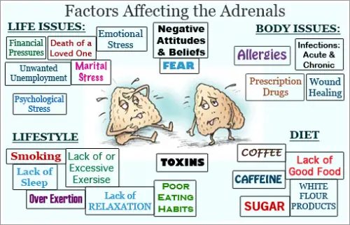 Sonya Beats Lyme: Are You Exhausted? You May Have Adrenal Fatigue.
