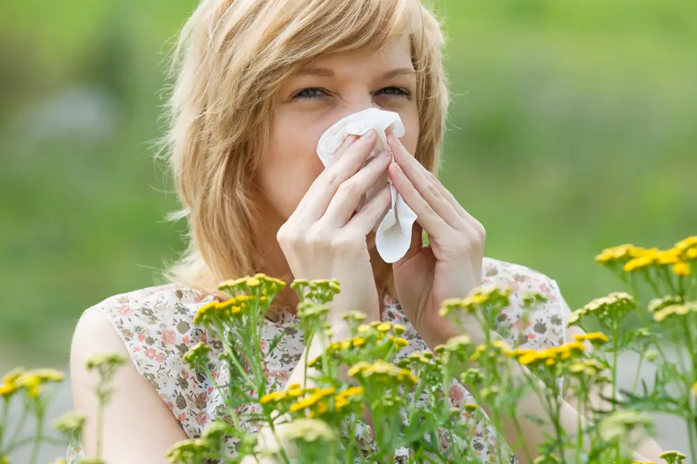 The Link Between Seasonal Allergies and Chronic Pain