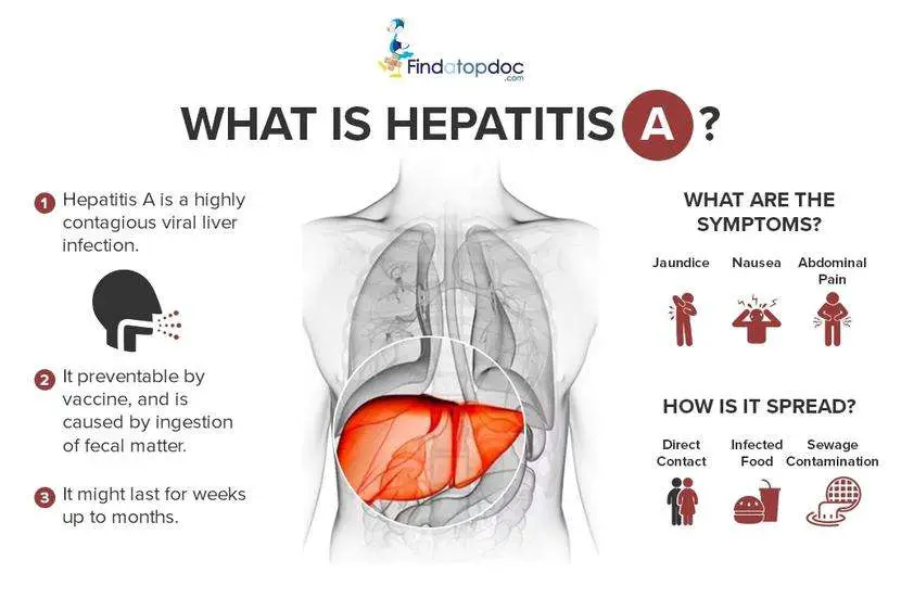 The Signs and Symptoms of Hepatitis A