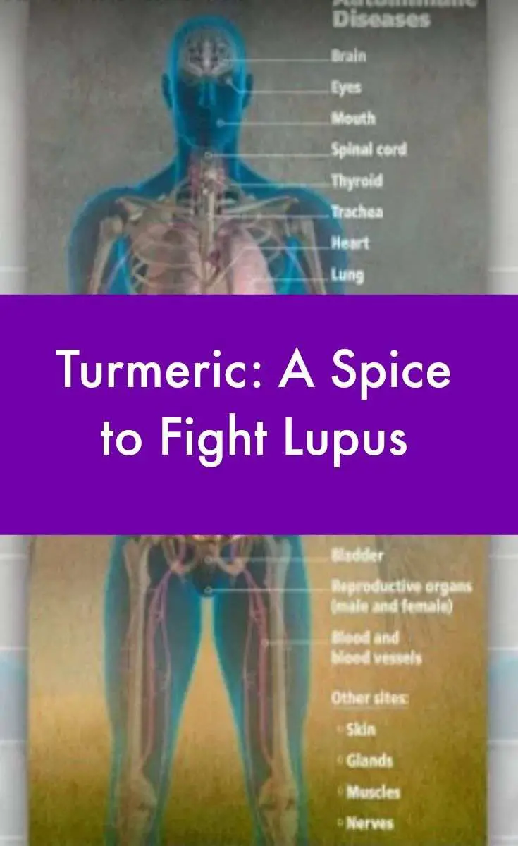 Turmeric: A Spice to Fight Lupus (With images)