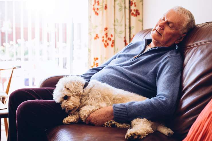 Understanding Extreme Fatigue in the Elderly