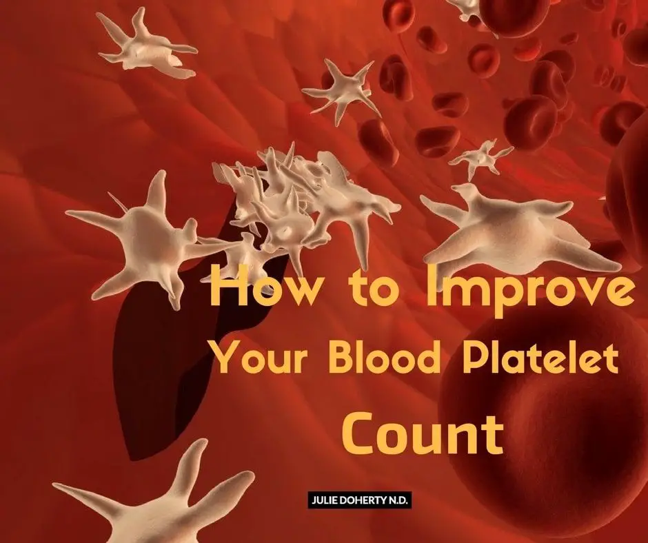 What is Thrombocytopenia? Low Platelet Count! Steps to Regain a Healthy ...