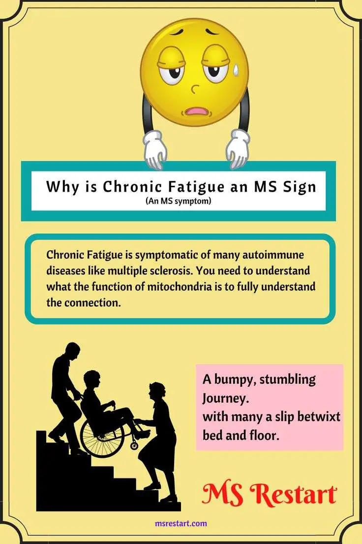 Why is Chronic Fatigue an MS Symptom