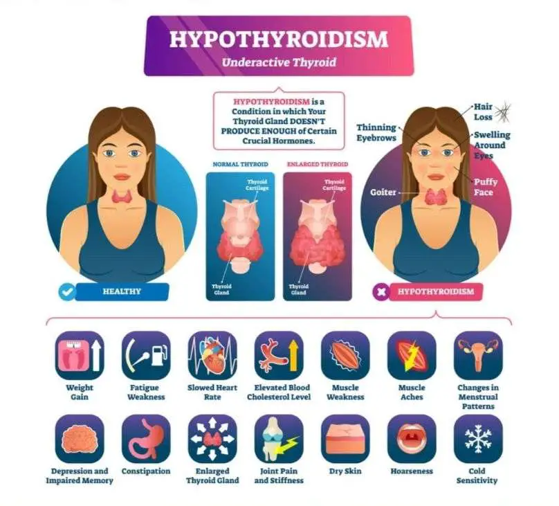 Yoga Therapy for Hypothyroidism and Hyperthyroidism